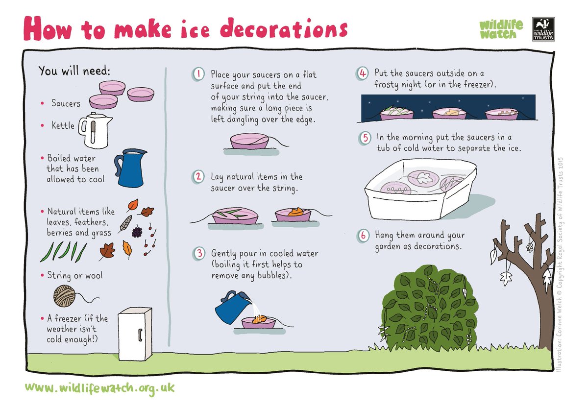 WildlifeTrusts's tweet image. Ice decorations! ❄️❄️❄️
Arrange leaves and berries in a dish along with a piece of string. Add water and overnight it will freeze, creating beautiful - but temporary decorations!

Find more wonderful ideas to keep kids busy during lockdown at: wildlifewatch.org.uk/activities 😊🌳