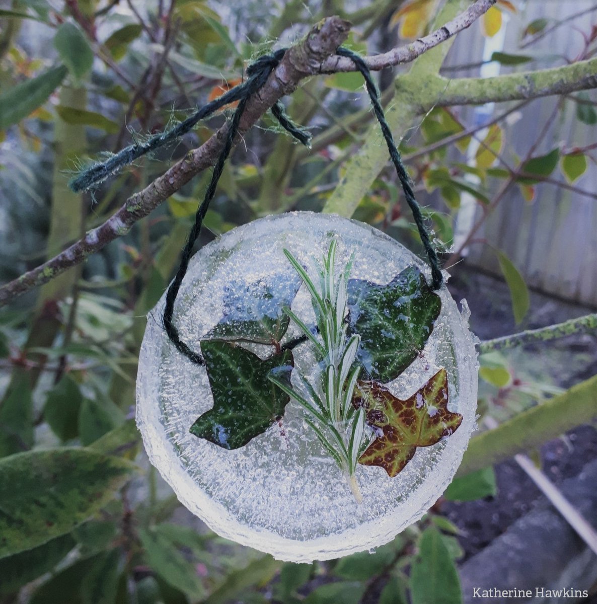 WildlifeTrusts's tweet image. Ice decorations! ❄️❄️❄️
Arrange leaves and berries in a dish along with a piece of string. Add water and overnight it will freeze, creating beautiful - but temporary decorations!

Find more wonderful ideas to keep kids busy during lockdown at: wildlifewatch.org.uk/activities 😊🌳