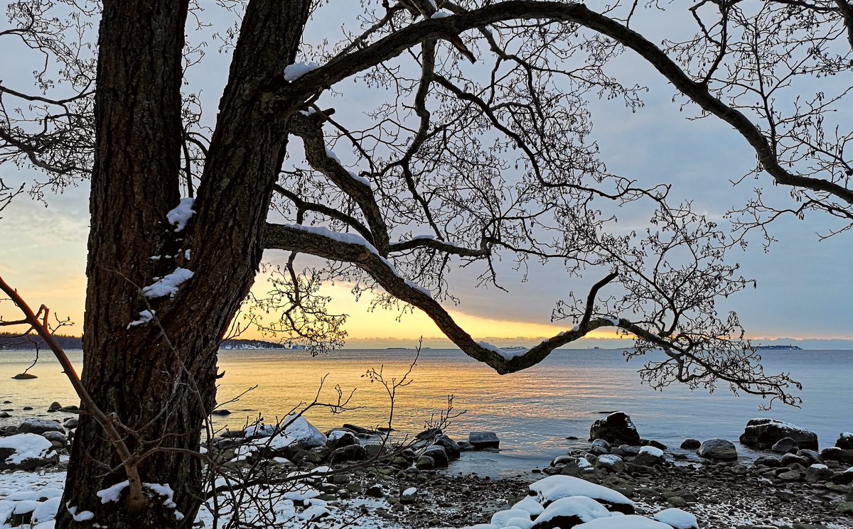 Cold, windy, but beautiful evening #Helsinki #Finland #photography #StormHour #travel #Photograph #weather #nature #sunset #photo #landscape #Winter #weekend #SundayMotivation https://t.co/KTOIvBJgCA