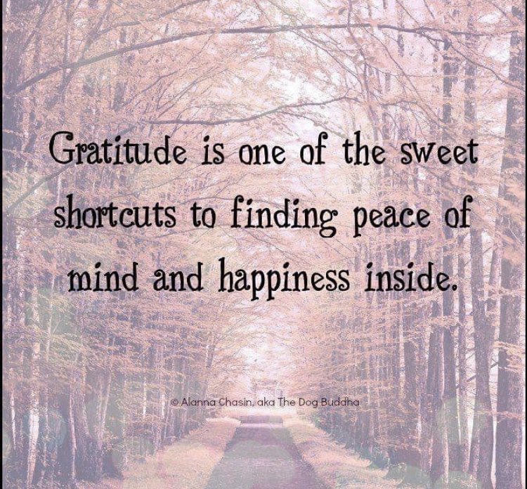 Inside my mind I am more than grateful