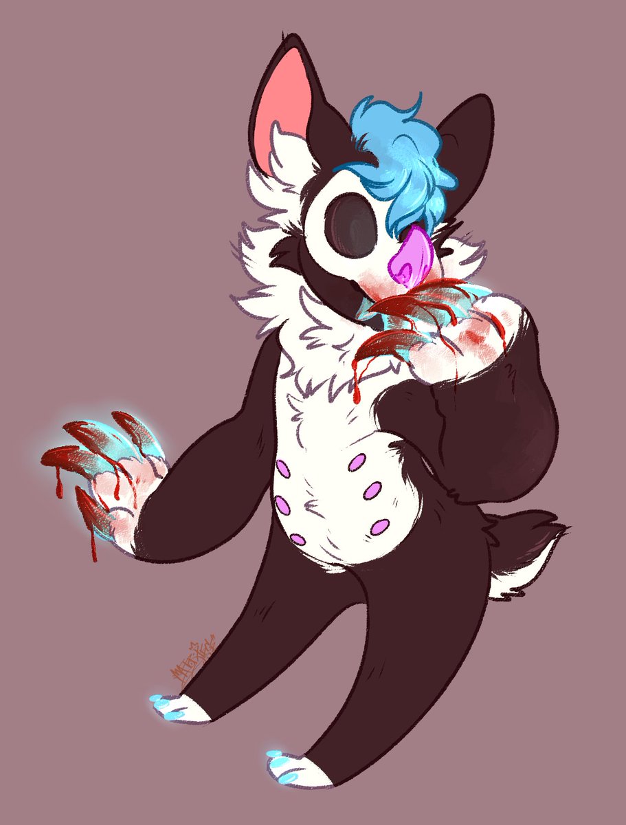 bashippeshi's tweet image. Meet Woosh from Baja #HispanicFurs