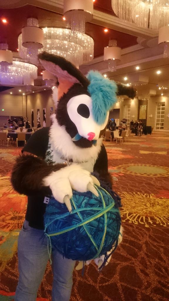 bashippeshi's tweet image. Meet Woosh from Baja #HispanicFurs