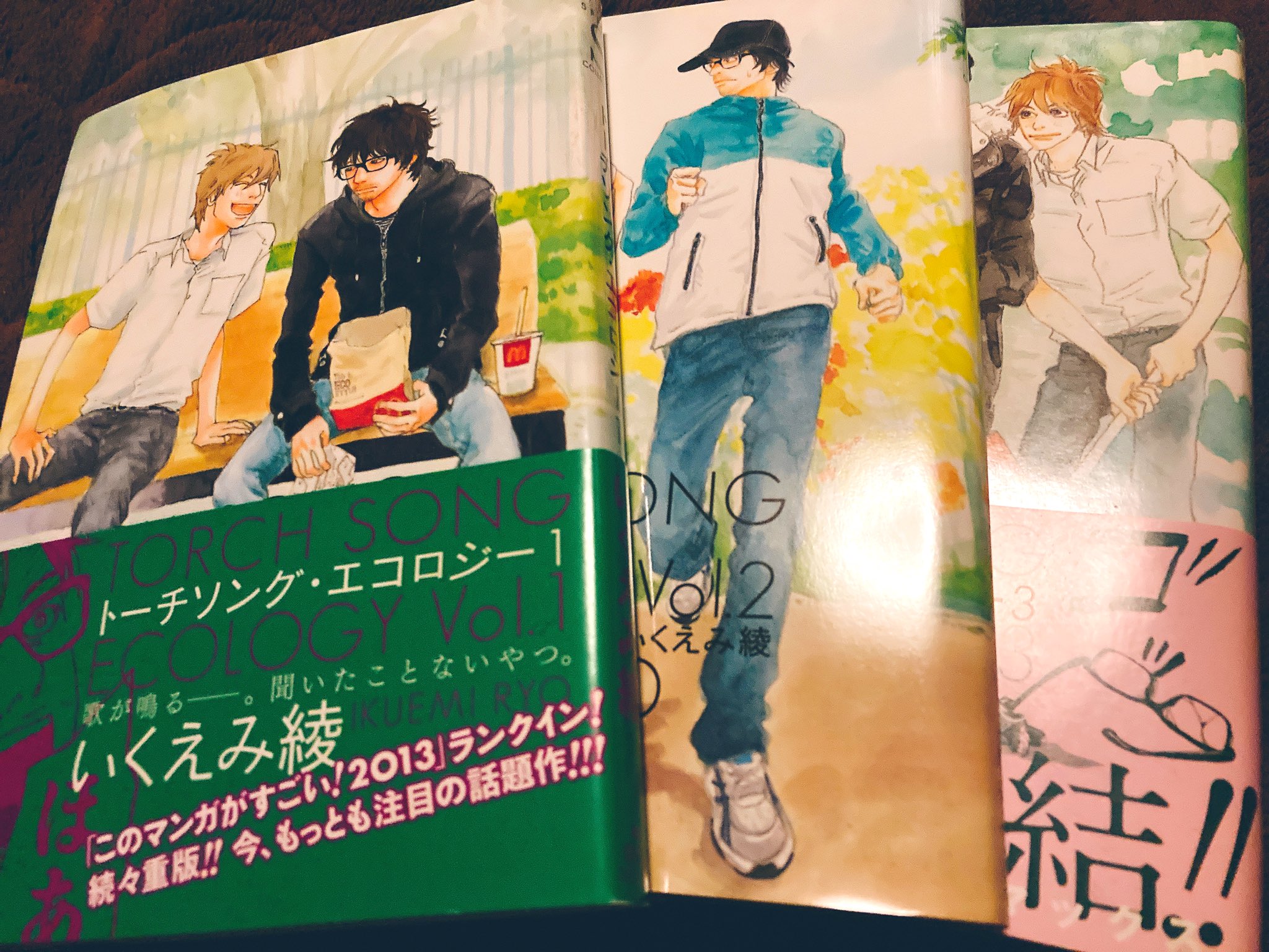 あみ 寝る前にこれ読もう トーチソングエコロジー いくえみ綾 あみ 寝る前にこれ読もう トーチソングエコロジー いくえみ綾