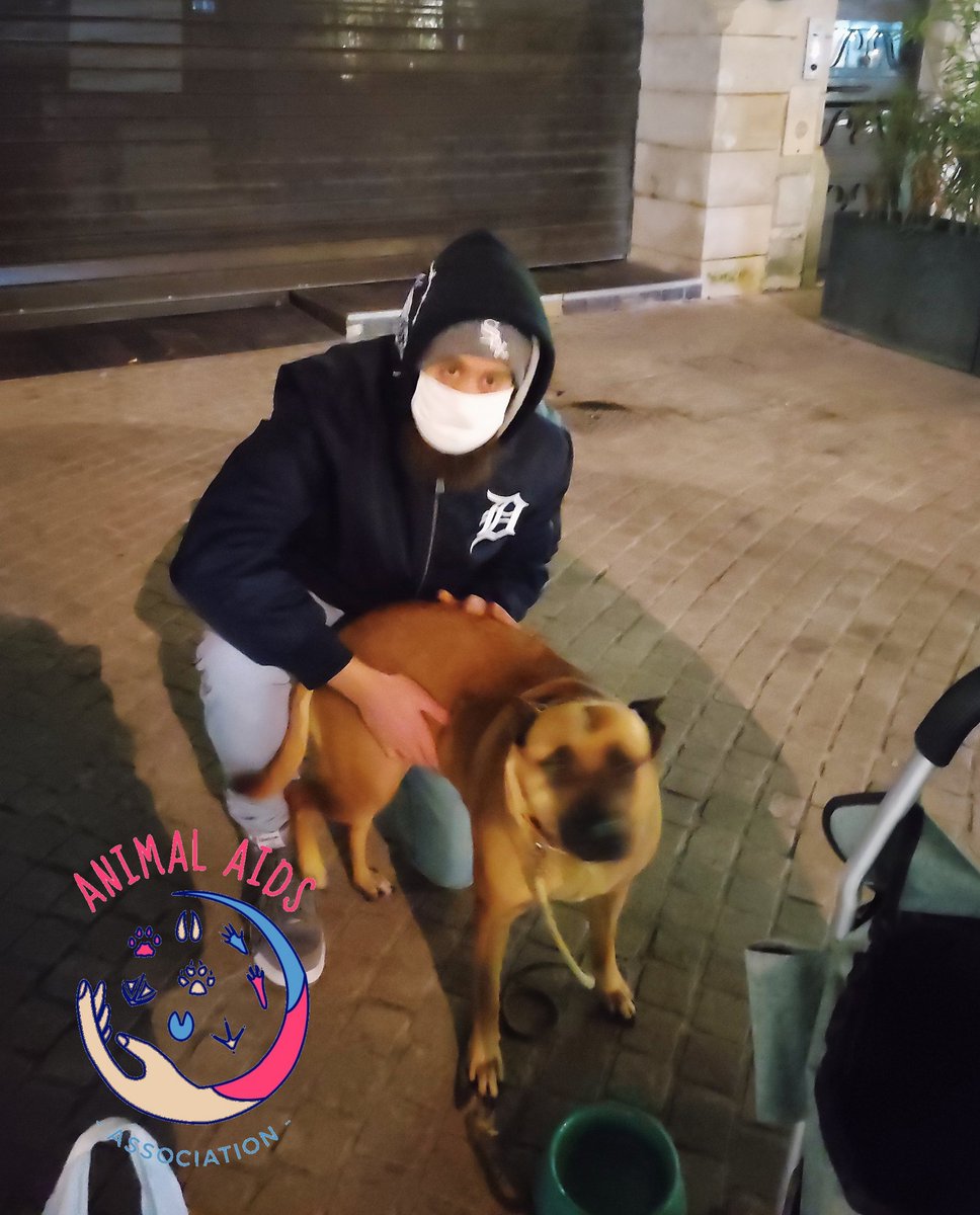 AAnimalaids's tweet photo. Vendredi nous étions à #Poitiers pour notre maraude auprès des chiens de personne sans domicile. Distribution de croquettes, couvertures et vêtements chauds ✨ https://t.co/PsGXzRm8EE