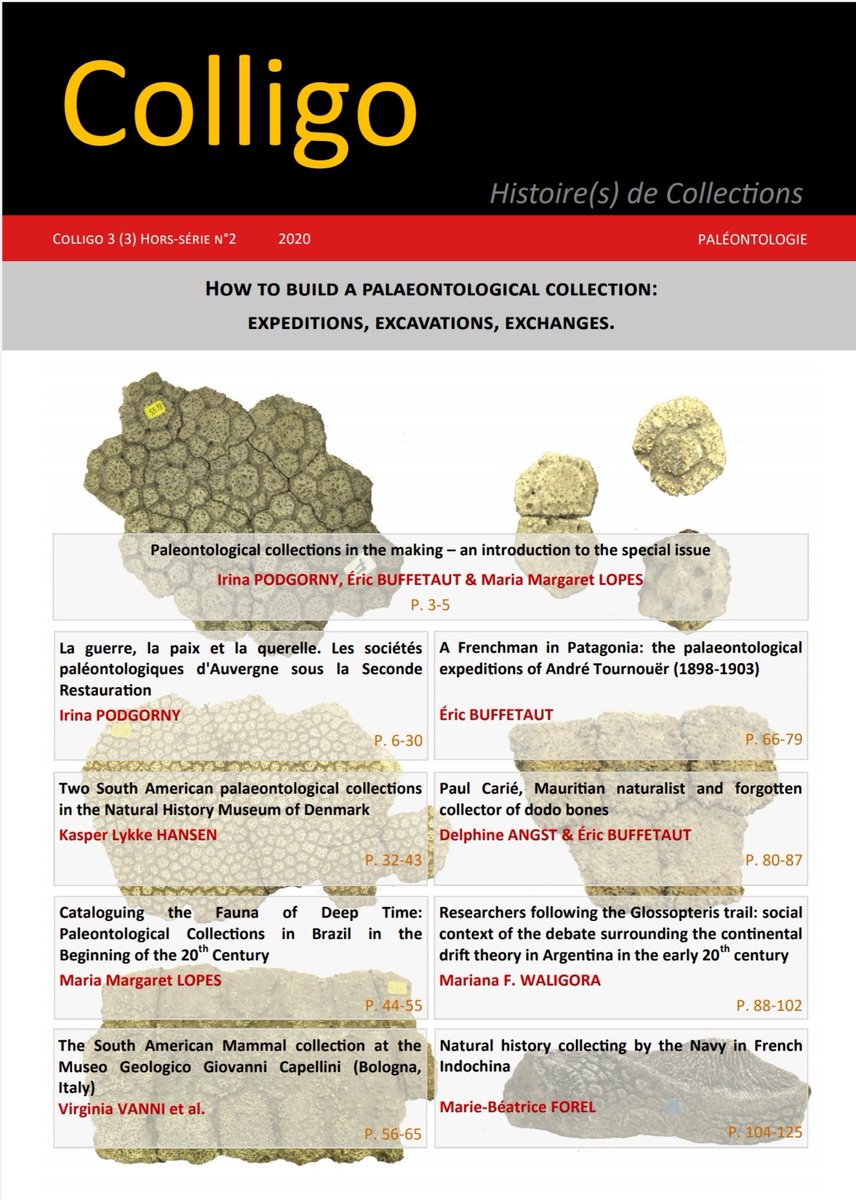 Revue_Colligo's tweet photo. Colligo profite de la sortie de son 2e HS sur les collections de paléontologie pour vous adresser ses meilleurs vœux pour 2021 ! https://t.co/JeQPI8XoNb @mbforel @AngstDelphine #paleontology #collections #naturalhistory https://t.co/8RAiRkgEuT