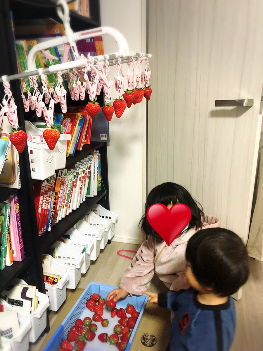 Cielfarm 自宅でいちご狩りいかがですか 四街道 千葉 いちご 苺 いちご狩り Strawberry 日本 いちごがり 観光スポット 遊び場 お出かけ 猫 猫好きさんと繋がりたい 動物好きな人と繋がりたい シエルファーム Cielfarm 子連れ旅行