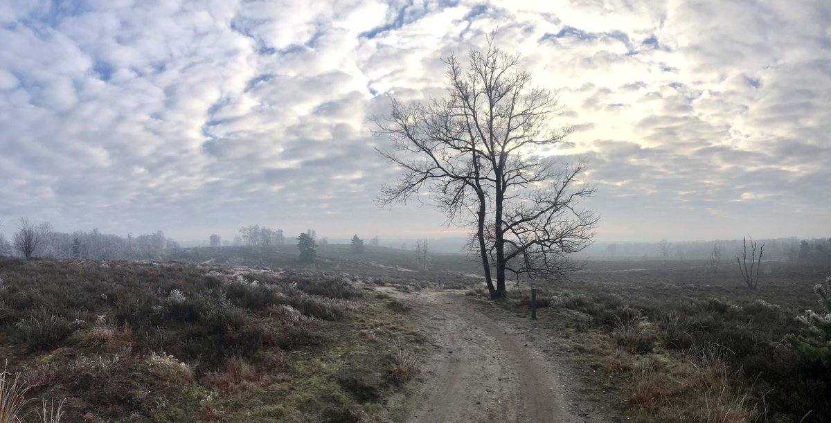 wardvijf's tweet photo. Natuurgebied De Teut, Zonhoven 11:08 #vrtweer https://t.co/YEBzx53qzG