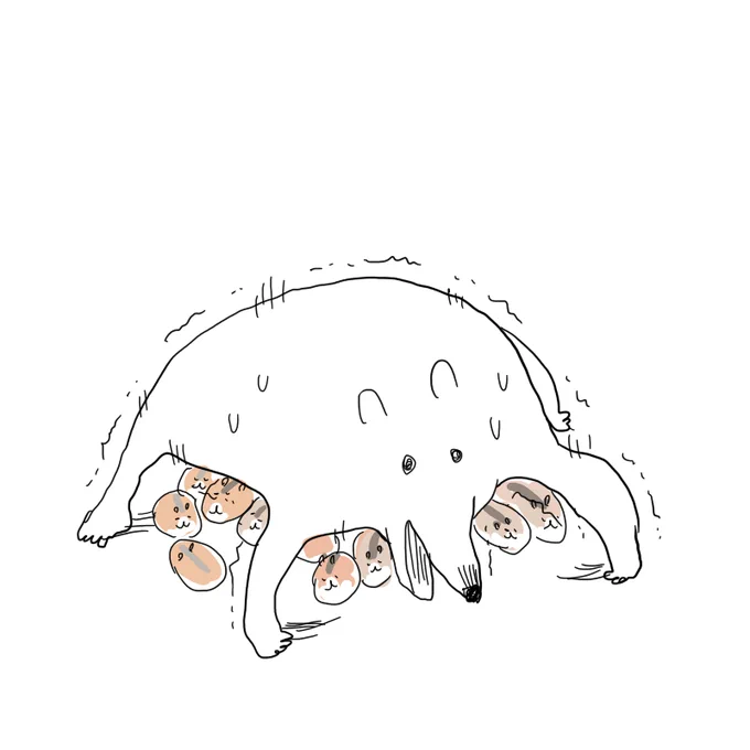 ハムスター 