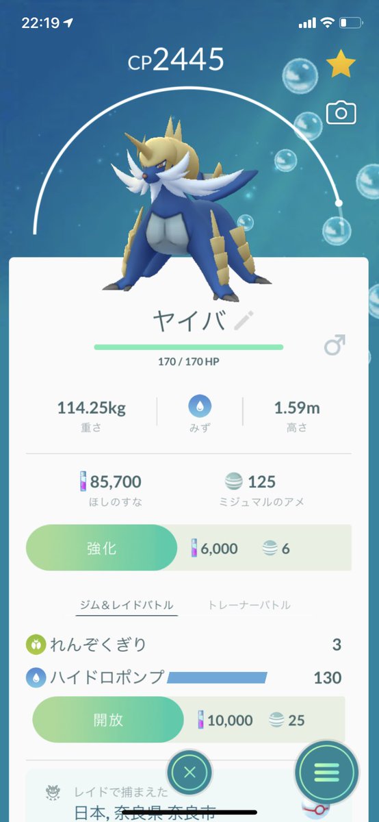 ライガ ポケモンgoでダイケンキ確保完了 高個体値な の子も見つけてあげたかった ライガ ポケモンgoでダイケンキ確保完了 高個体値な の子も見つけてあげたかった