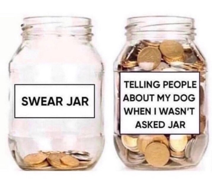 beeboplinski's tweet photo. Describe yourself without downloading new things https://t.co/8F5f0LWnEH