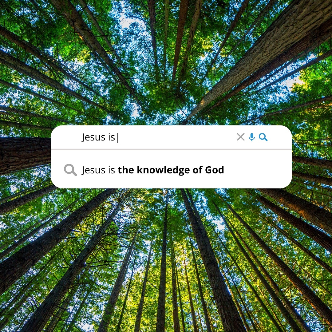 GracePlaceUK's tweet photo. For God, who commanded the light to shine out of darkness, hath shined in our hearts, to give the light of the knowledge of the glory of God in the face of Jesus Christ.
#JesusIs #TheKnowledgeOfGod #lettherebelight #GracePlace #PastorSekou https://t.co/EpvcUn3npp