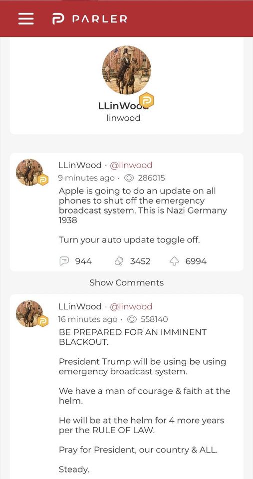 Lin Wood on Parler has suggested that the deplatforming is the start and that the major tech companies are trying to thwart this effort. This is echoed by other Q cultists. 9/10