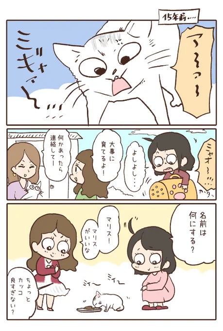 私と猫の15年 1/4 