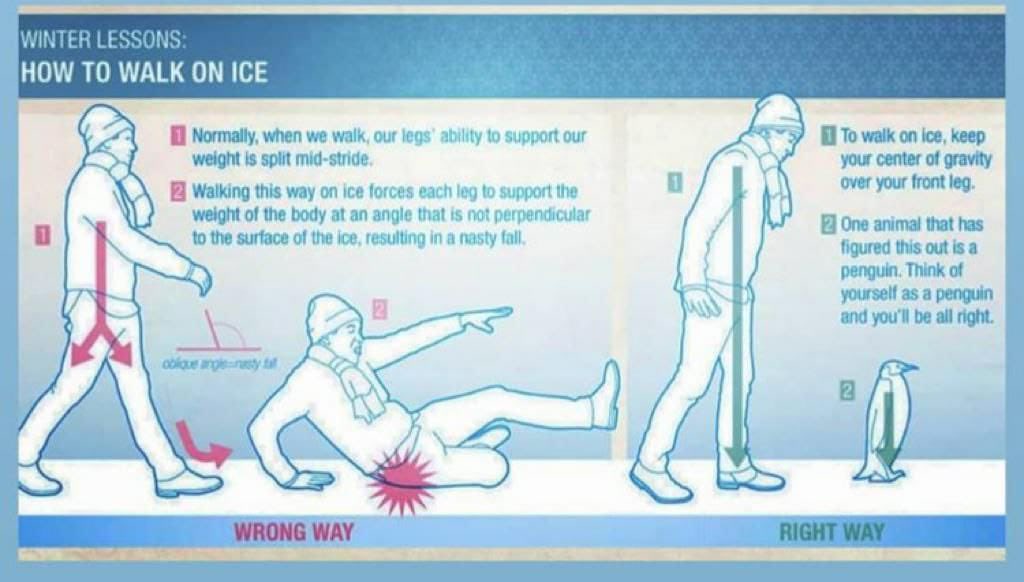 mianrey's tweet photo. 🧊 ¿Cómo andar sobre el hielo? 🐧 https://t.co/YRymrfcmUu