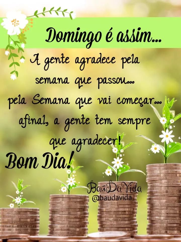 Cida Barcelos on Twitter: Cida Barcelos on Twitter: