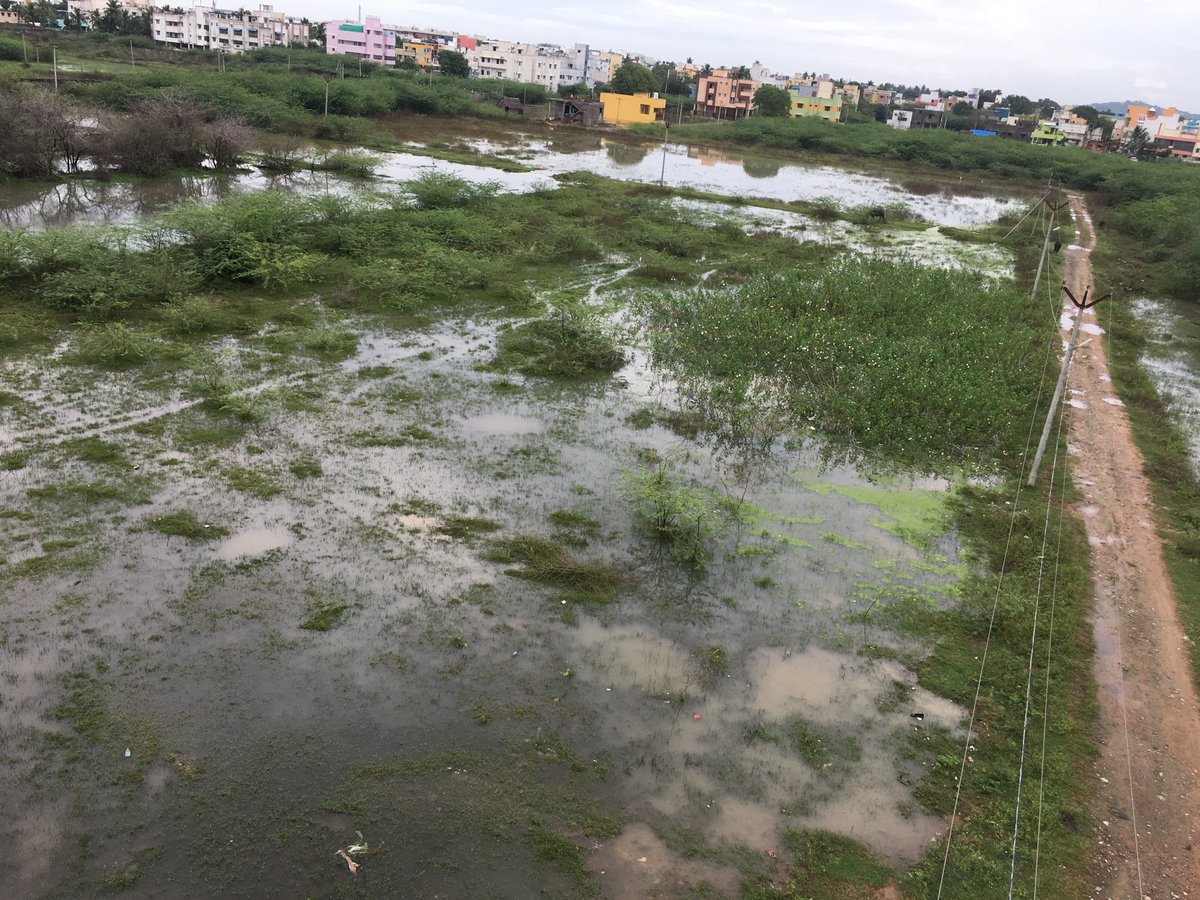 raj_mcitp's tweet image. Honorable CM, @CMOTamilNadu  20 families with 60 members living Madha Town, Gerugambakkam, Porur registered a petition #2021/1148856/WI in CM Cell requesting Basic Amenities of Road facility and Street lights.. Please check and assist.