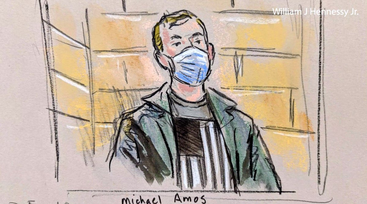 ARRESTED: Michael Jerrett Amos, 38, of Naples Florida is charged with unlawful entry and entered a plea of not guilty in court Wednesday afternoon. Records show he is being represented by D.C. lawyer Carl Messineo.  https://www.winknews.com/2021/01/07/naples-man-among-those-arrested-for-capitol-breach/