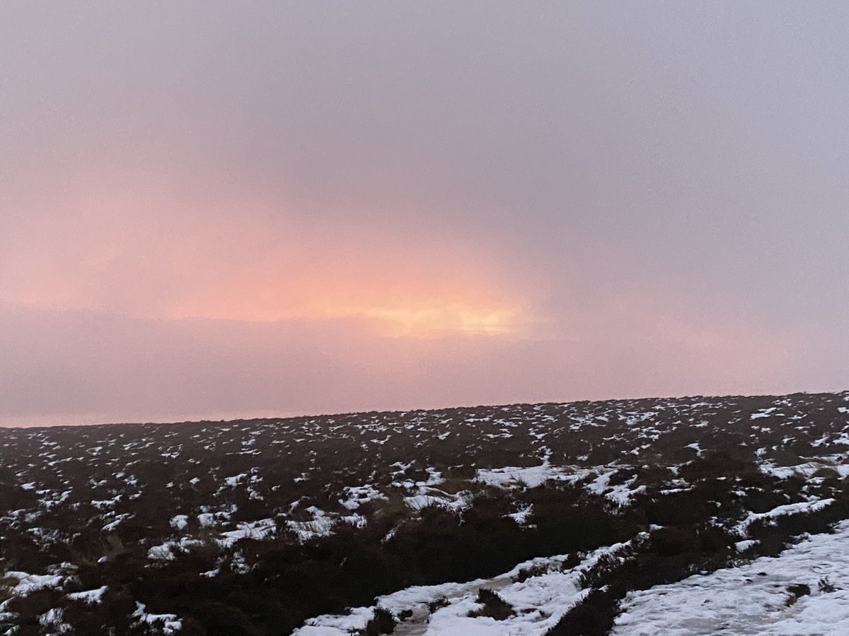 Saira Luffman tweet media