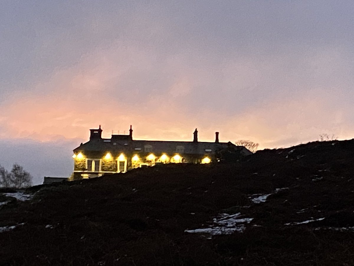 Saira Luffman tweet media