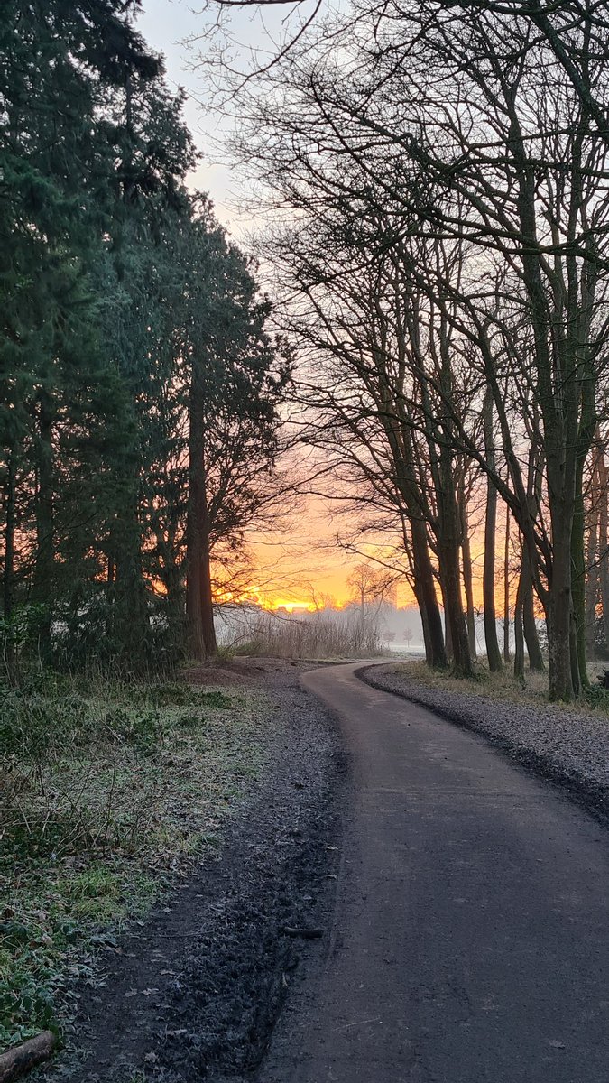 welshboyrunning's tweet photo. Five mile walk with the daughter this morning #ranuary #benchwatch #lovethediff https://t.co/MvYI6gU4uG