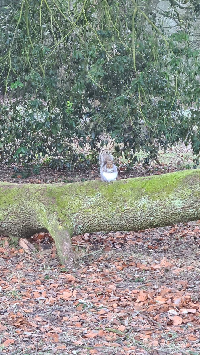 welshboyrunning's tweet photo. Five mile walk with the daughter this morning #ranuary #benchwatch #lovethediff https://t.co/MvYI6gU4uG