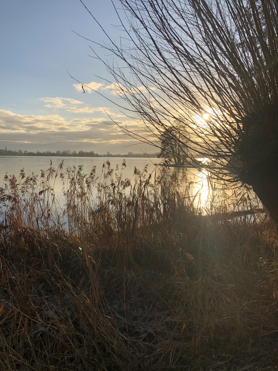 Duco1303's tweet photo. Net lekker gewandeld en dit was de natuur https://t.co/fxwLn8IOlL