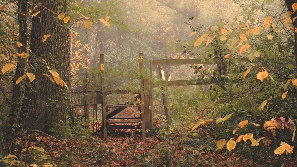 VisitDitchling's tweet photo. DITCHLING COMMON

This area has been voted an Area of Outstanding Natural Beauty (AONB), the perfect walking trail in the Ditchling area. The Country Park covers 76 hectares (188 acres) of a once larger area of common land. 

Photo credit: Dave Meades 
#ditchlingcommon https://t.co/oWCty0OVss