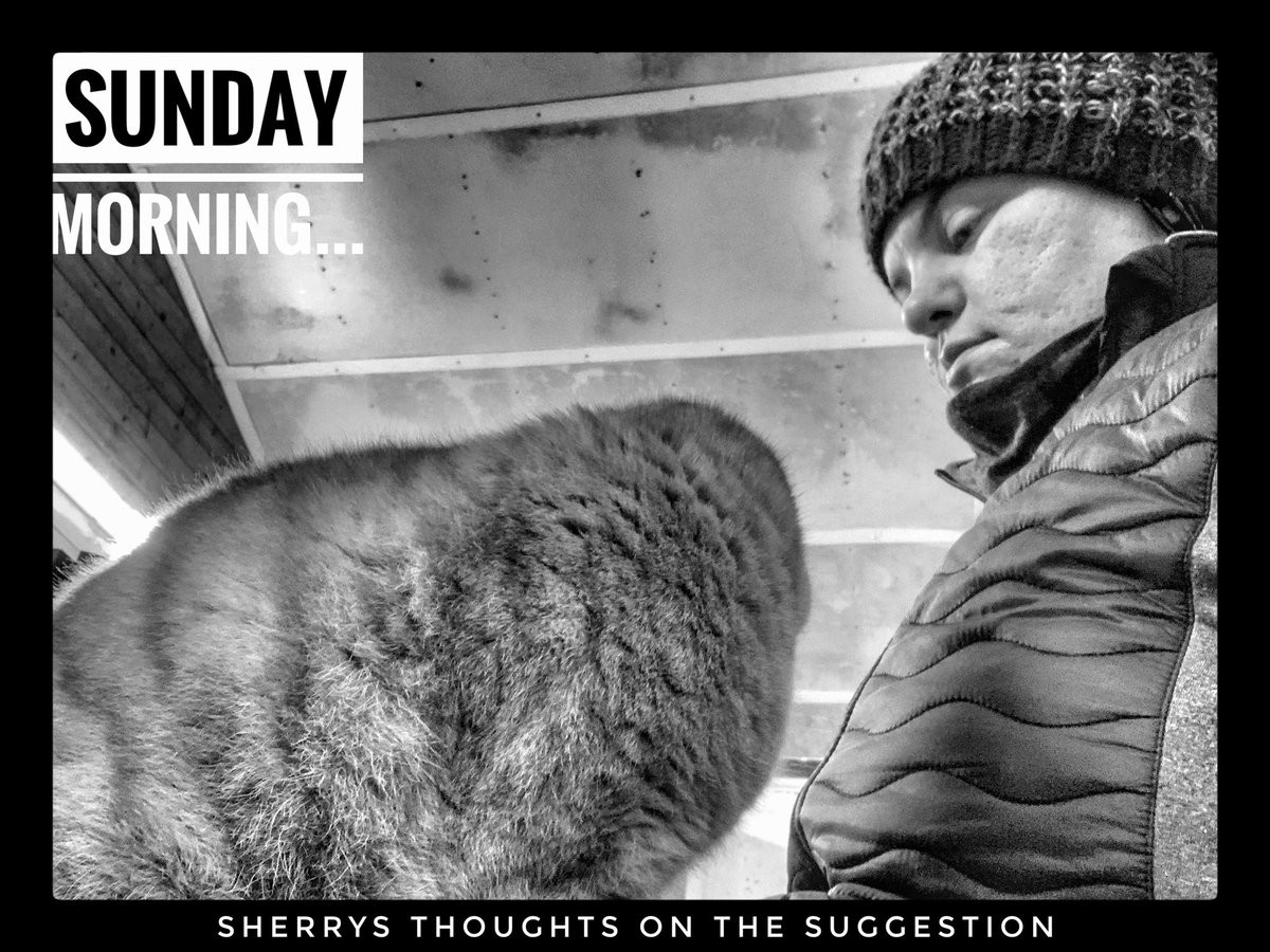 Sunday morning thoughts... #SundayMorning #sundayvibes #diet #gingercat #blackandwhitephotography