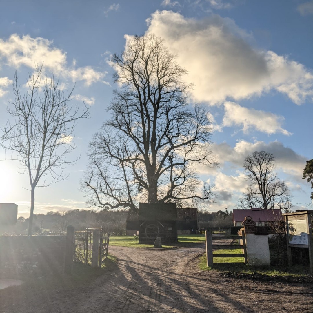 ChilternOAM's tweet photo. Rays of sunshine across the Village Green!
#Sunshine #NatureInLockdown #Winter #GoOutdoors #Museum #Peaceful https://t.co/IV0mUHTrG2
