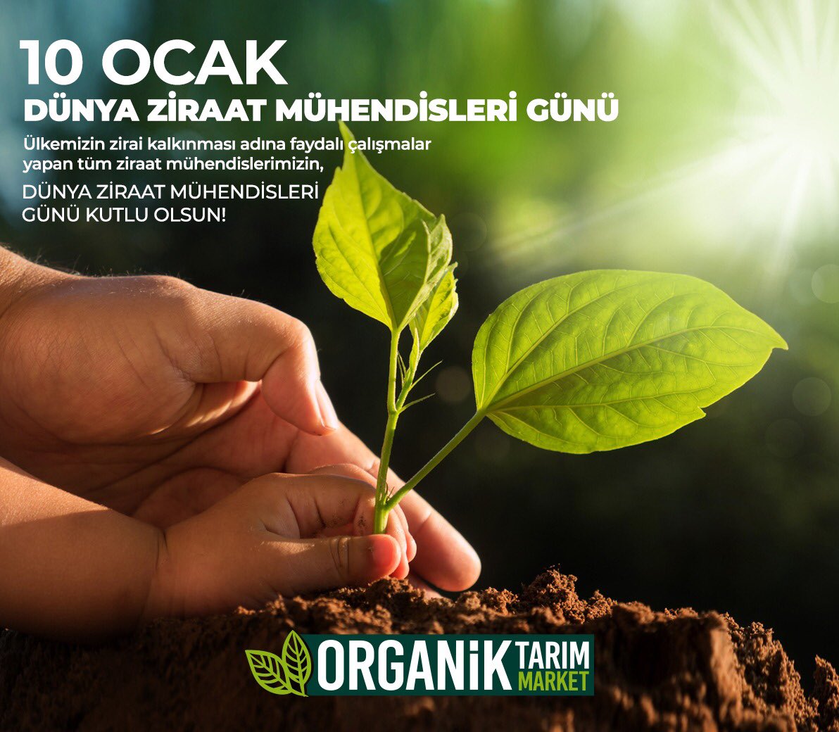 Ömer Gökçe (@gokcemirhat) on Twitter photo 