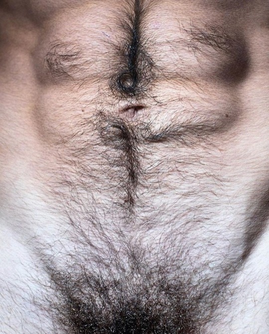 HairyHunks's tweet photo. https://t.co/v372NgqAdH