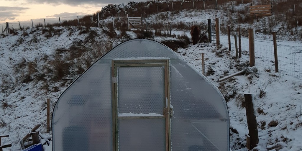 KederGreenhouse's tweet photo. Finished!! the 3m x 6m #KederGreenhouse on the #Isleof Harris is finished, the customer completed the assembley lasy week with a gap in the weather, and now they have #snow βοΈ. https://t.co/7lEoirqY9C