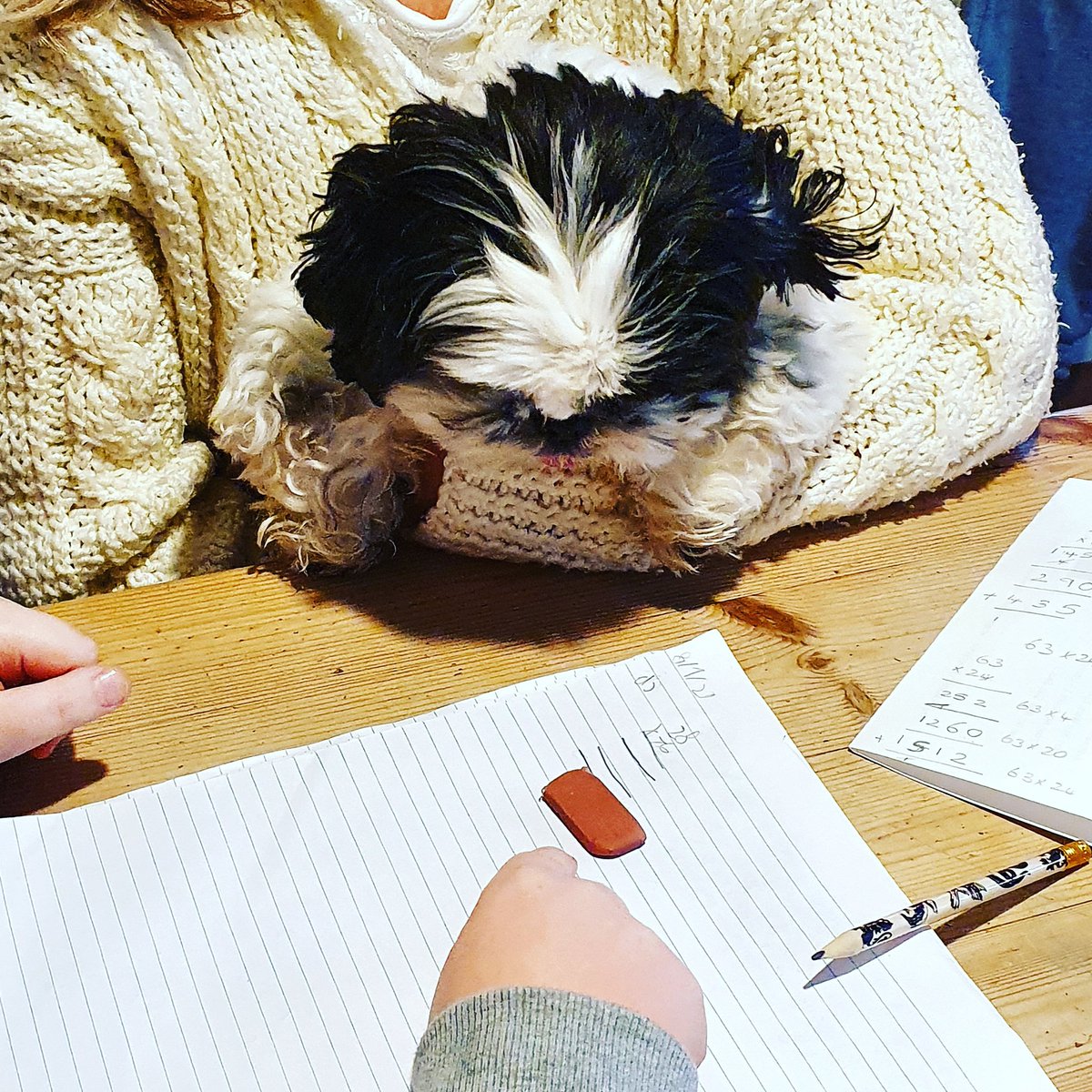 LauraPocket's tweet photo. @MHeathAcademy even Georgie joined in with the long multiplication lesson on Friday Mrs Dodd. Joe made a pretty good teacher! ❤ https://t.co/UtfrM84pdv