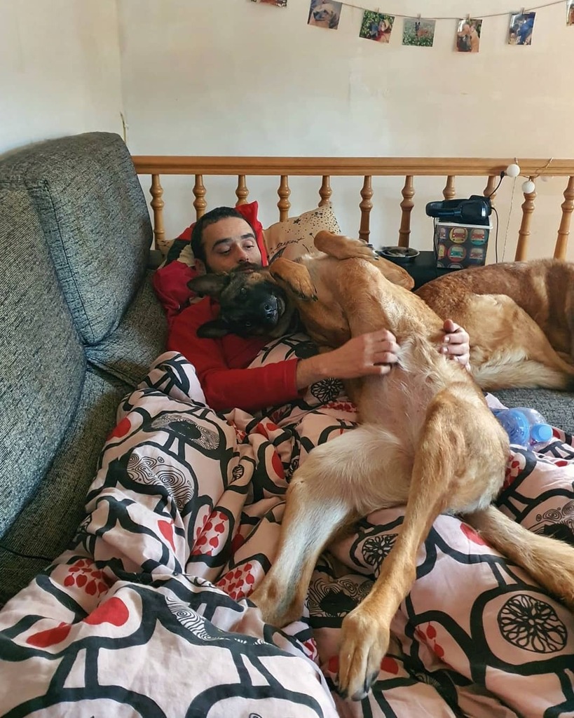 weneflei14's tweet photo. Aquí, explorando los límites de la comodidad en este domingo de lluvia 😅
#soysietevecesmasperroquetu #laguaurderia #mimanadaesadoptada #miperroesadoptado #adoptanocompres #mestizo #malinoismix #huskymix #germanshepherdmix #maliman #seniordog #hikingdogs #gossosdecatalunya #… https://t.co/SKSTJTy4tS
