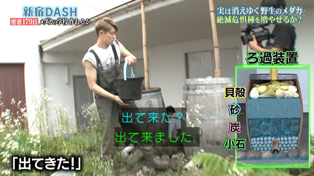 産卵おじさん の異名を持つ城島リーダーの指導のもと新宿の屋上で絶滅危惧種のメダカの繁殖に成功 鉄腕dash 2ページ目 Togetter 産卵おじさん の異名を持つ城島リーダーの指導のもと新宿の屋上で絶滅危惧種のメダカの繁殖に成功 鉄腕dash 2ページ目 Togetter