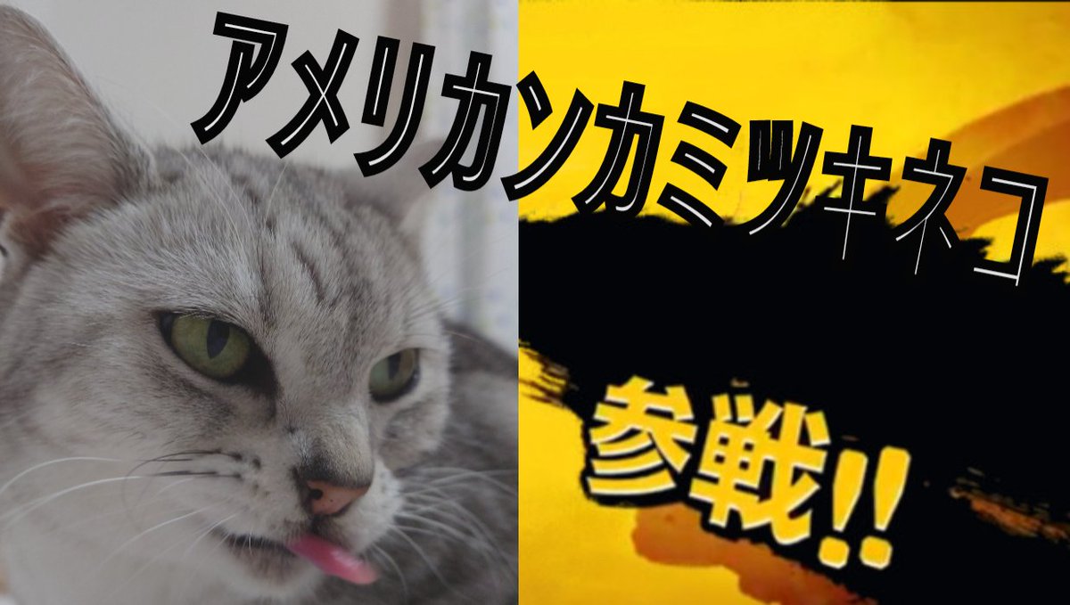 スマブラ参戦ジェネレーター Twitter Search