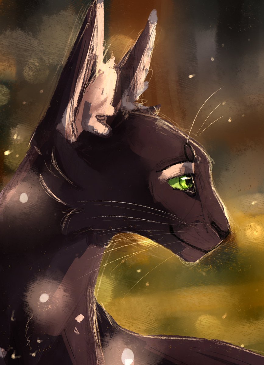 chalkythecat's tweet photo. can you guess who's eyes she's staring lovingly into
character belongs to the fabulous @TennelleFlowers, can't get enough of this lovely spotty lady <33
@StarCatStudio #spottedshadow #cloudedmoon #shiftingroots #warriorcats #Warriors https://t.co/Tq5j1qbbf0