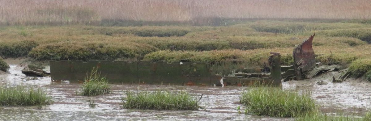 And here she is in November 2020. Notice that the hull armour, the stern bulkheads, the keel and engine supports and the ramp are still in place. This landing craft has categorically not been 'recovered'.