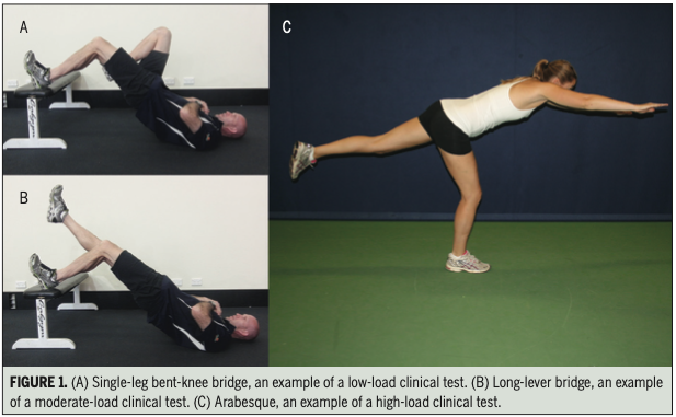 Physiotutors tweet media