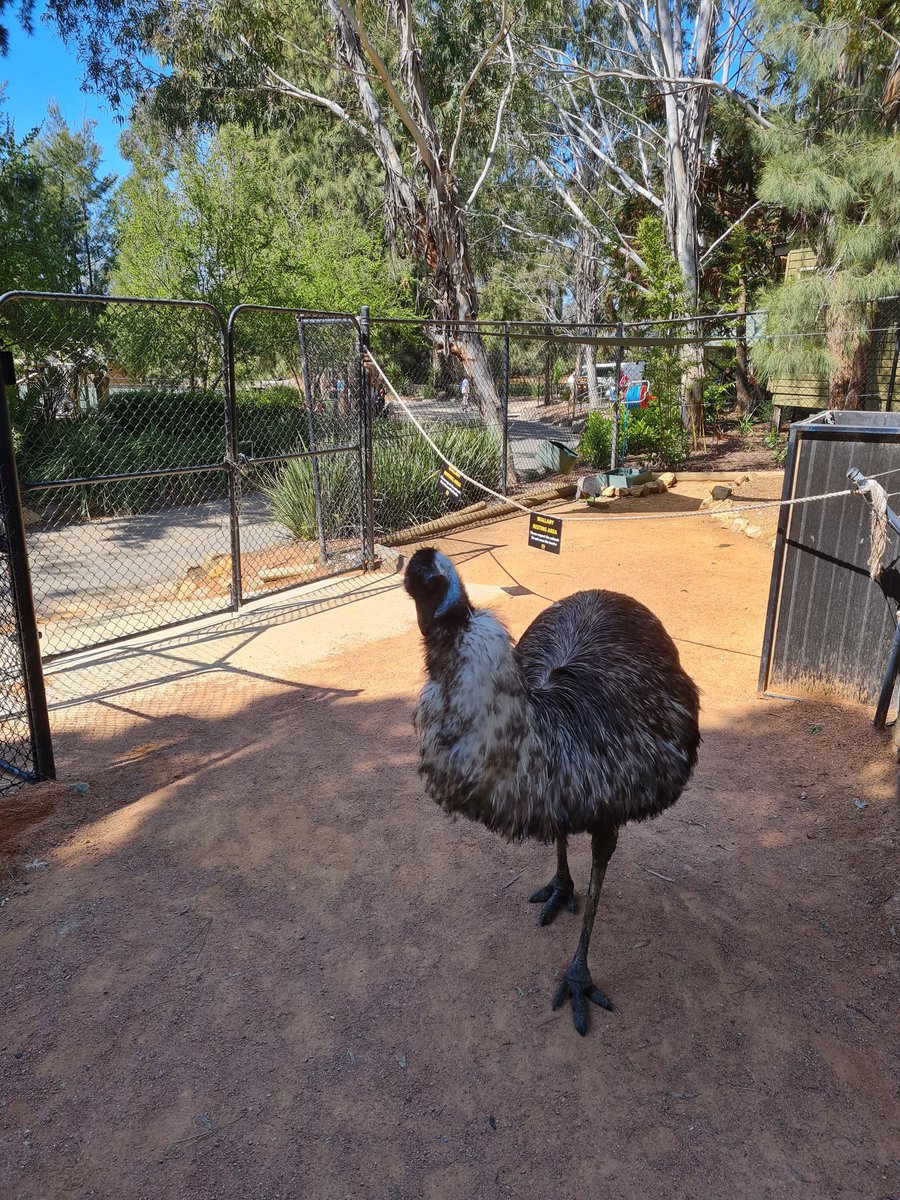 My mate moo at the national zoo and aquarium