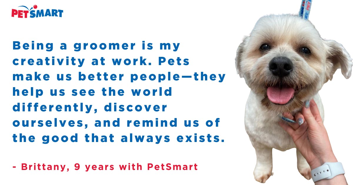 We're looking for groomers to join #LifeAtPetSmart! If you're ready to give your career a fresh look and put your creativity to work, check out what it means to be part of our salon team. Visit careers.petsmart.com/salons to learn more! bit.ly/3seB1LB