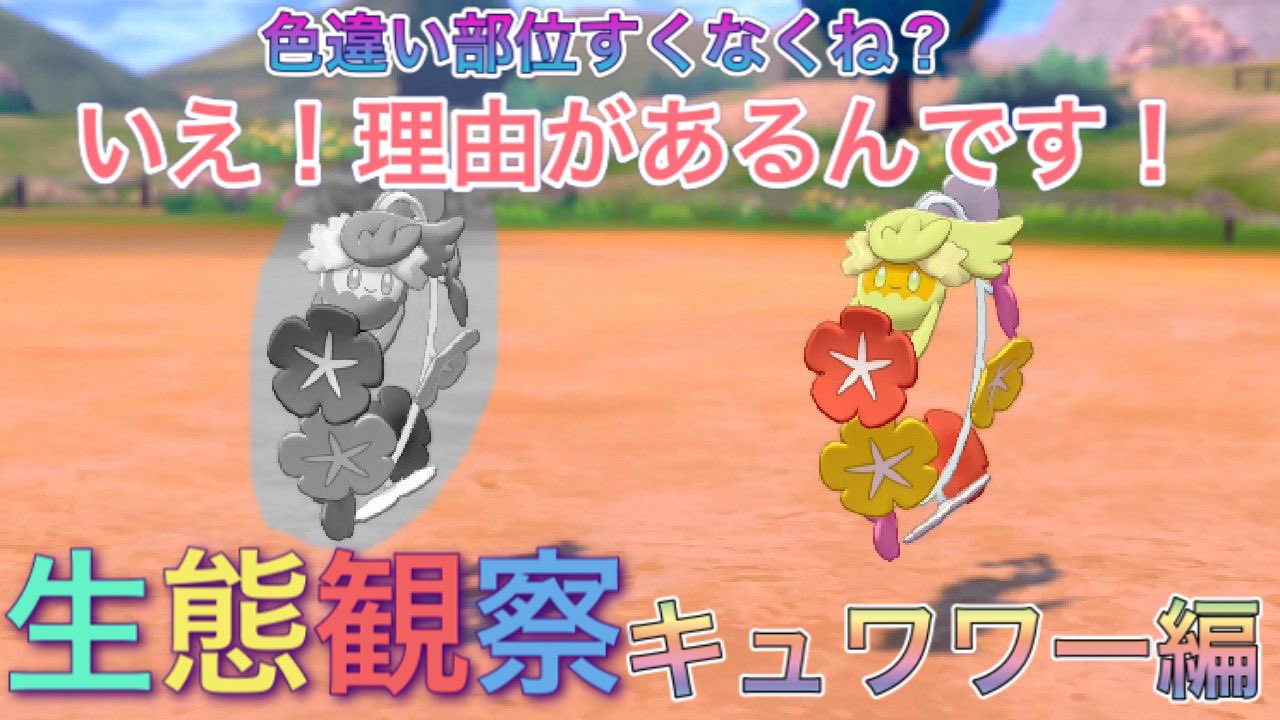 ポンゲ ポケモン図鑑って読んでみると びっくりすること書いてるよね 動画アップしました 今回は色違いキュワワーです ポケモン ポケモン剣盾 キュワワー 色違い 色違いキュワワー 色違いでたから図鑑眺めてみたら 衝撃的な生態を知ったから