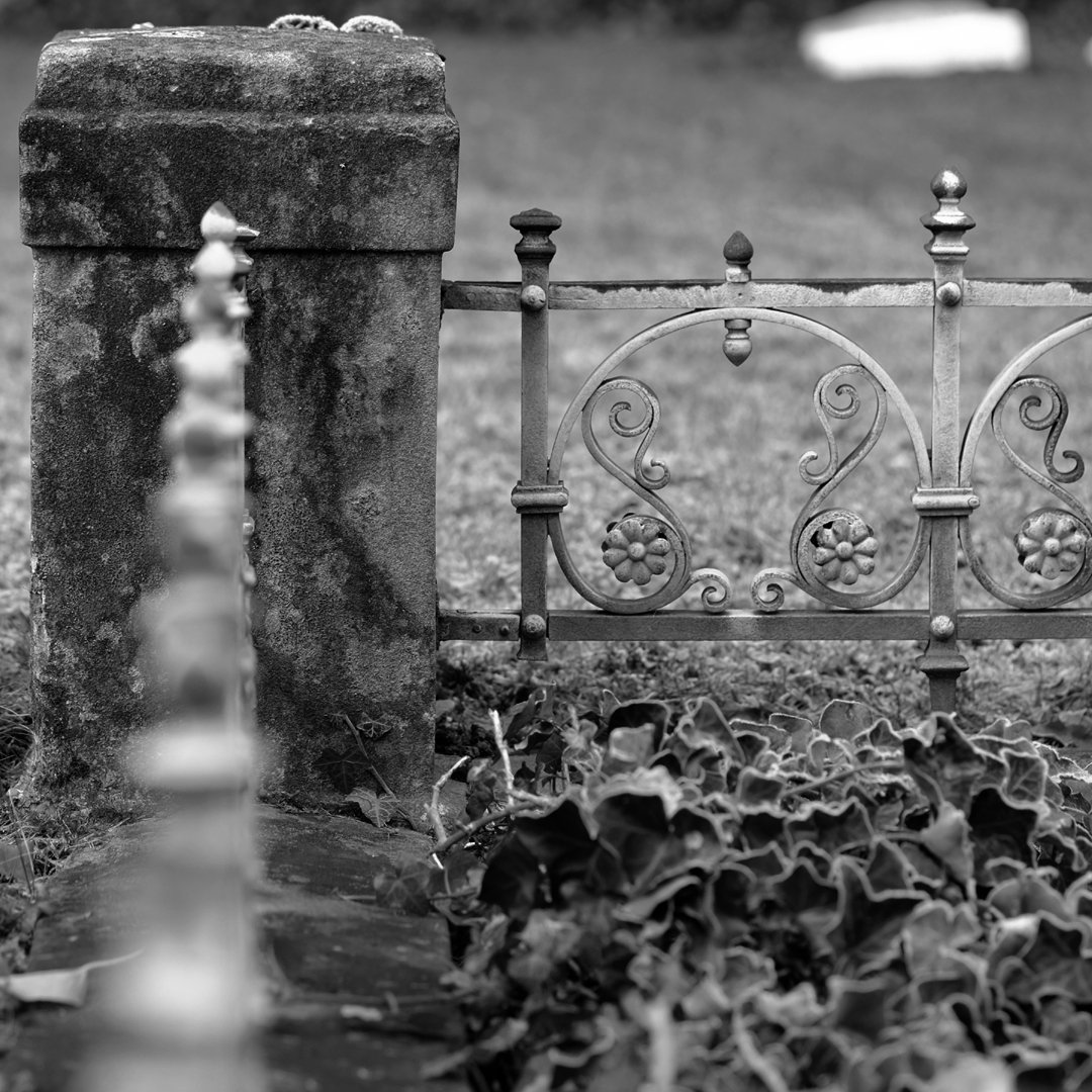 PascaleLily's tweet photo. Divisions aren't always this beautiful.
#photography #blackandwhitephotography
#photopoetry #nodivisions https://t.co/An9CRTHvx8