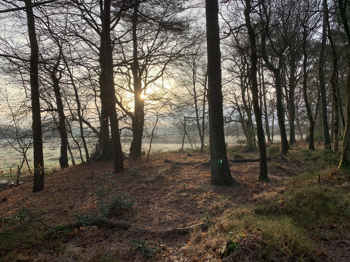 NancyBekkering's tweet photo. #mooinoordenveld https://t.co/EyxhqUbEy5