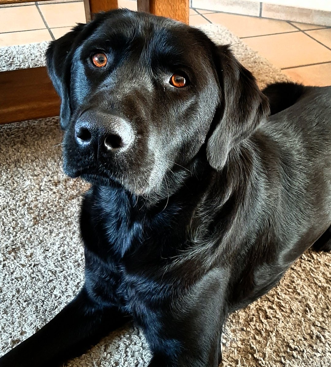 Wie heeft er zin tijd en goesting om deze namiddag te gaan wandelen met mij en 👇