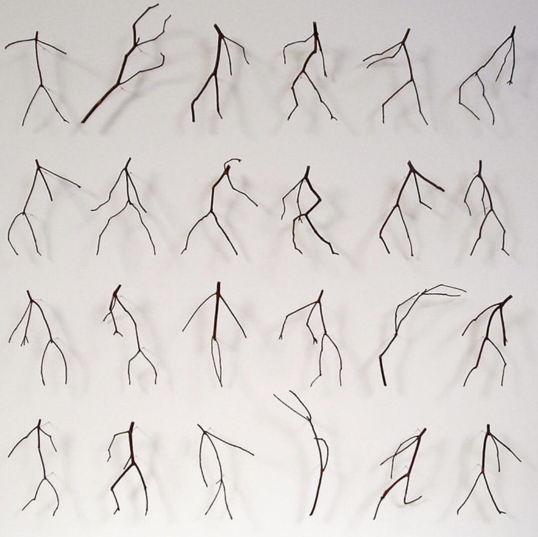 Veinticuatro ramitas contentas.

📷Chris Kenny

#FelizDomingoATodos