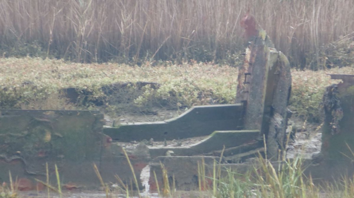 So is it LCA 888? It's very convenient if it is - it stirs up interest in the US and Maisy's association with the Rangers makes it all the more significant. Apparently they were identified from their 'keel numbers' but it's evident the keel wasn't recovered from the supposed 888.