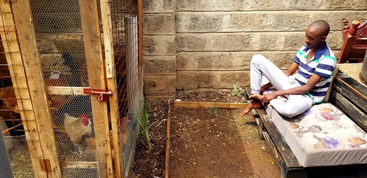 Outdoor chilling nikihesabu mali. There's one we are to slaughter soon  We had planted some nice flowers here but kuku ni nani. Soon replanting them niweke hadi nyasi.  https://twitter.com/BryBell11/status/1335974662321401856?s=19 &ndash; bei  Imara Daima