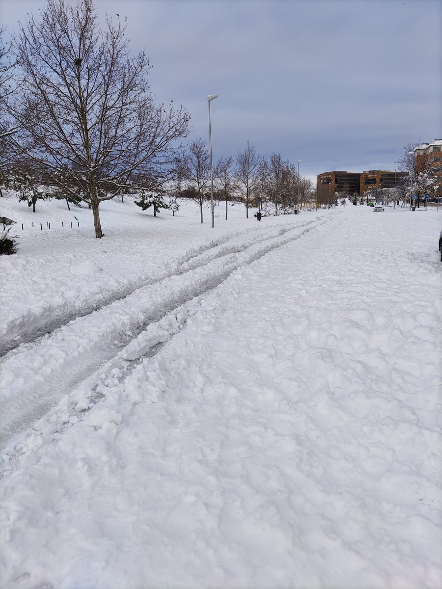 AvLasTablas's tweet photo. Esto no es el paseo de la Castellana, o Núñez de Balboa,  pero se pagan los mismos impuestos.  @MADRID @JMDFuencarral las Tablas está abandonada. https://t.co/8sB7GjsqiP