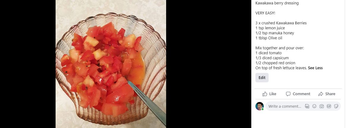 6. Having found a suitably located tree - if the leaves have been munched that's a good thing! Go for the trees with the munched leaves.[image: recipe for kawakawa dressing and image of dressed tomato/capsicum salad]